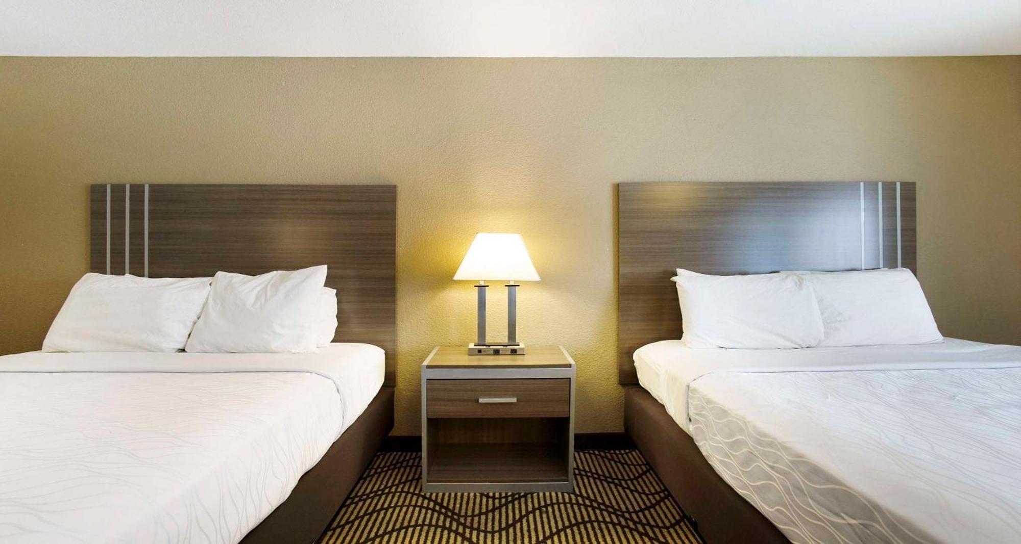 Surestay Plus Hotel By Best Western Sacramento North Ngoại thất bức ảnh